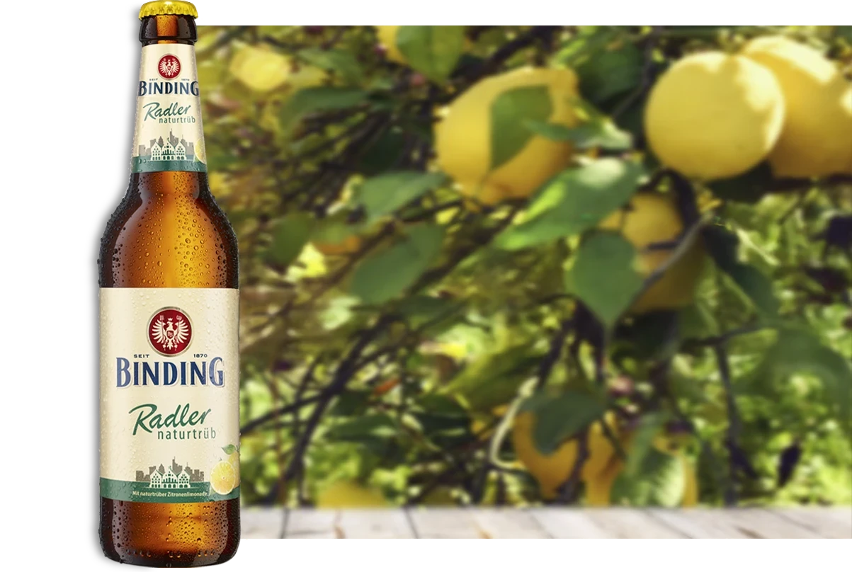 Eine Bierflasche von Binding Radler Naturtrüb steht auf einem Holztisch vor einem Zitronenbaum.